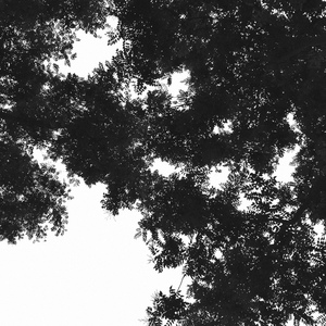 feer teen hdxxxxhd gif
